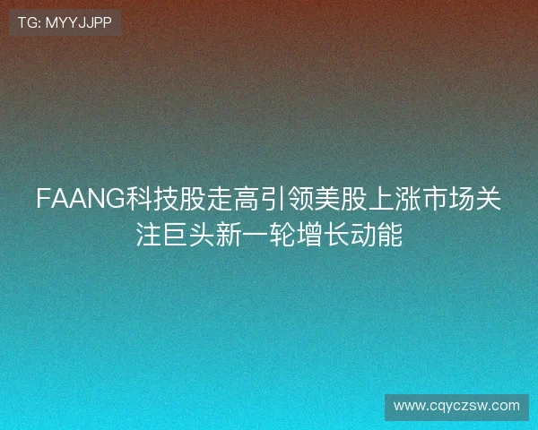FAANG科技股走高引领美股上涨市场关注巨头新一轮增长动能 FAANG科技股走高引领美股上涨市场关注巨头新一轮增长动能